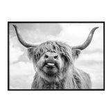 Highland Cows Wall Art Canvas (75x100cm) - Fansee Australia