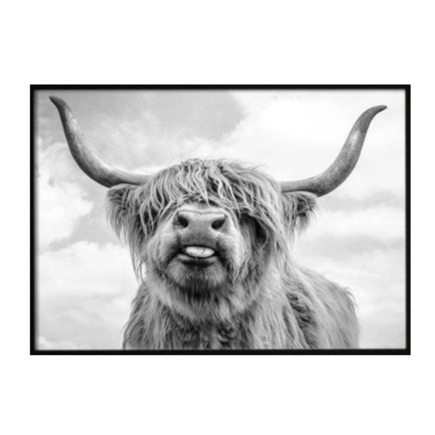 Highland Cows Wall Art Canvas (75x100cm) - Fansee Australia