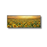 Golden Horizon: Radiant Sunflower Field Panoramic Framed Canvas (50x150cm)