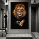 African Lion Wall Art Print (70x100cm) - Fansee Australia