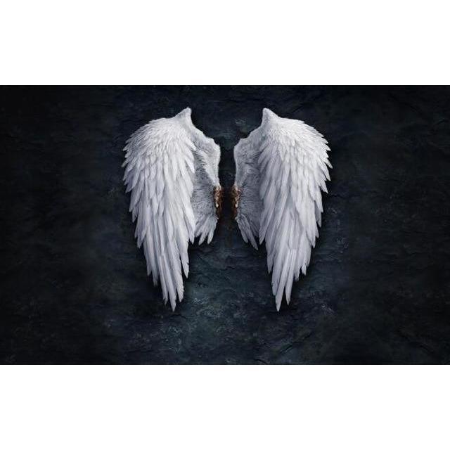 Angel Wings Wall Art Print On Canvas - Fansee Australia