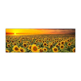 Beautiful Sunflower Field Wall Art Prints (50x150cm) - Fansee Australia