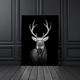 Copy of Animals Wall Art Prints - Fansee Australia