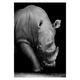 Copy of Animals Wall Art Prints - Fansee Australia