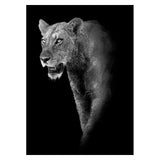 Copy of Animals Wall Art Prints - Fansee Australia