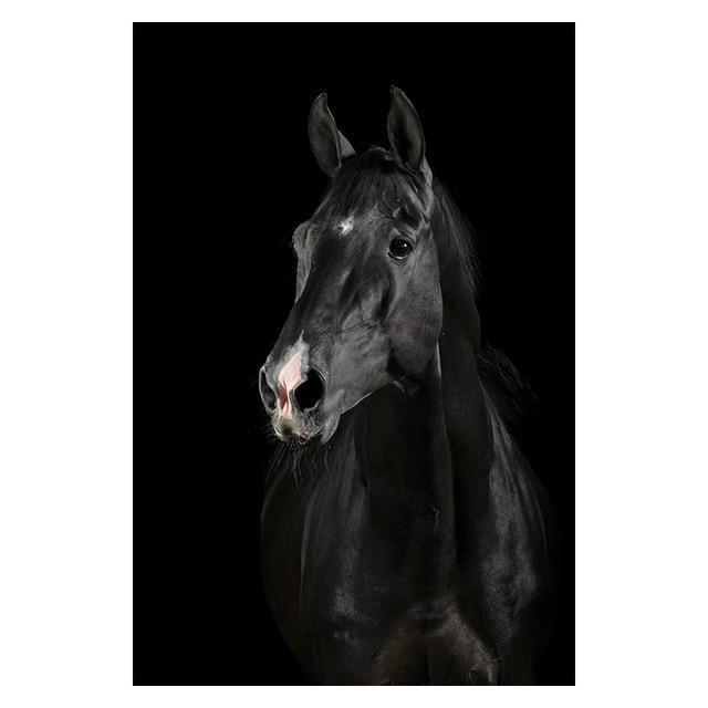 Copy of Animals Wall Art Prints - Fansee Australia