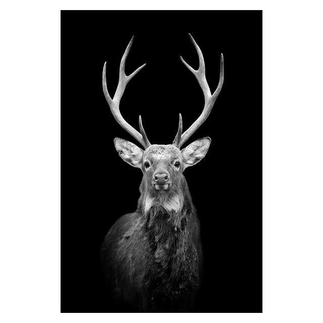 Copy of Animals Wall Art Prints - Fansee Australia