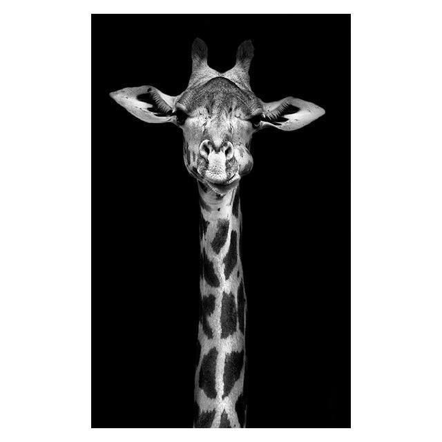 Copy of Animals Wall Art Prints - Fansee Australia