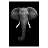 Copy of Animals Wall Art Prints - Fansee Australia