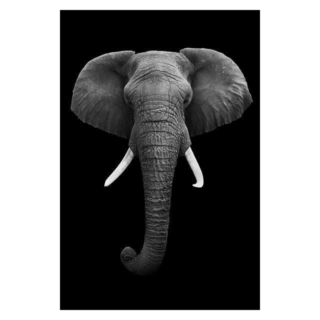 Copy of Animals Wall Art Prints - Fansee Australia