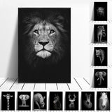 Copy of Animals Wall Art Prints - Fansee Australia