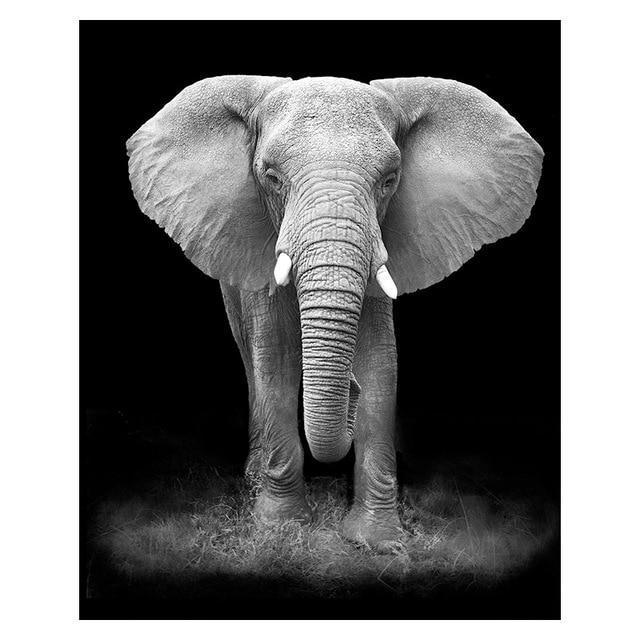 Copy of Animals Wall Art Prints - Fansee Australia
