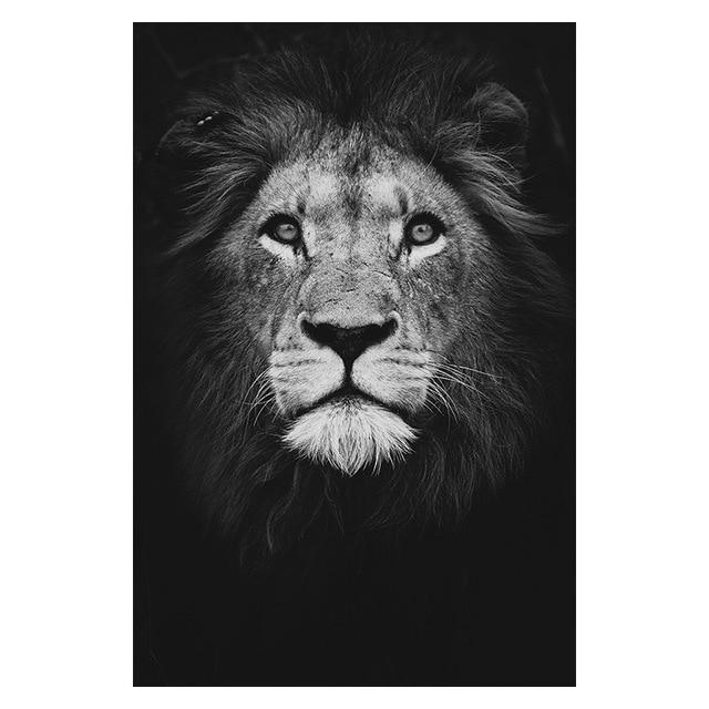 Copy of Animals Wall Art Prints - Fansee Australia