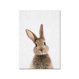 Cute Bunny Wall Art Prints on Canvas - 2 Pcs Set (50x70cm) - Fansee Australia