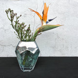 Diva Element Vase - Fansee Australia