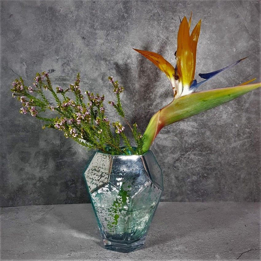 Diva Element Vase - Fansee Australia