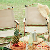 Folding Camping Chairs Portable Outdoor Chairs Beach Chairs - Fansee Australia