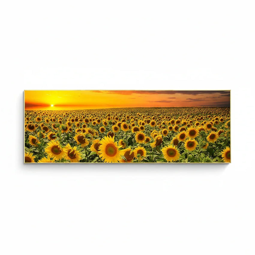 Golden Fields: Radiant Sunflower Panoramic Canvas Print – Serene Horizon (50x150cm) – Unframed