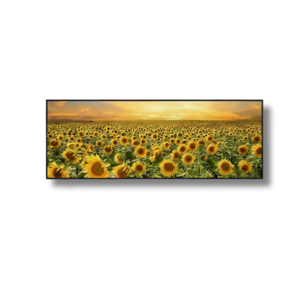 Sunflower field wall art print for modern home décor, golden sunset landscape artwork