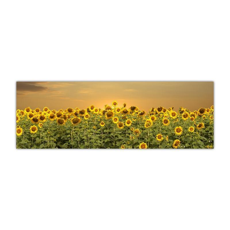 Gorgeous Sunflower Landscape Canvas Prints (50x150cm) - Fansee Australia