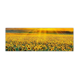 Gorgeous Sunflower Landscape Canvas Prints (50x150cm) - Fansee Australia