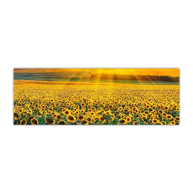 Gorgeous Sunflower Landscape Canvas Prints (50x150cm) - Fansee Australia