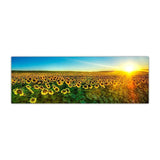 Gorgeous Sunflower Landscape Canvas Prints (50x150cm) - Fansee Australia