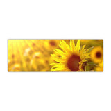 Gorgeous Sunflower Landscape Canvas Prints (50x150cm) - Fansee Australia