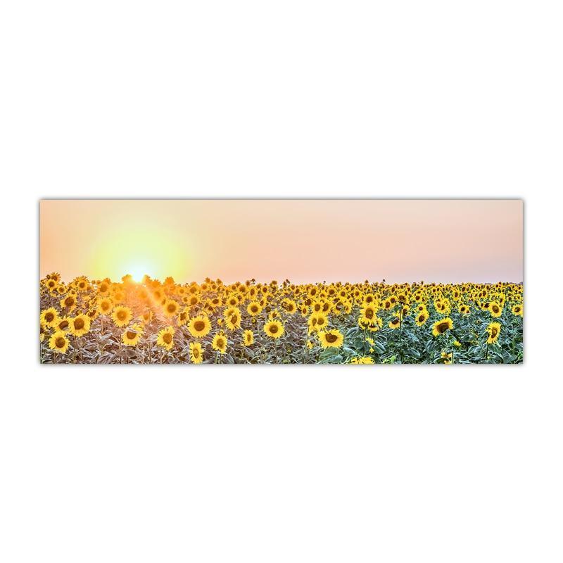 Gorgeous Sunflower Landscape Canvas Prints (50x150cm) - Fansee Australia