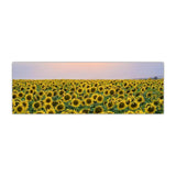 Gorgeous Sunflower Landscape Canvas Prints (50x150cm) - Fansee Australia