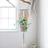 Handmade Angel Wings Macrame Plant Hanger - Fansee Australia