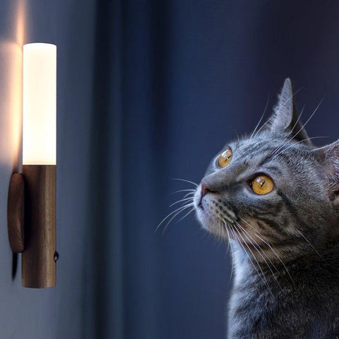 Innovative Dual Infrared Sensor Light - Fansee Australia