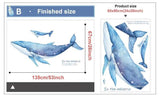 Large Humpback Whale Wall Stickers For Nursery - Fansee Australia