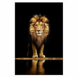 Lion in the Dark Canvas Wall Art Print (70x100cm) - Fansee Australia