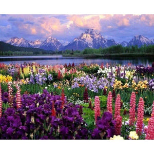 Mountain Flowers Painting With Numbers Kit (40x50cm Framed Canvas) - Fansee Australia