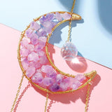 Sun Catcher With Raw Crystal Art Wall Hanging - Fansee Australia