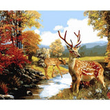 Painting By Numbers Two Deer In The Forest (40x50cm Framed Canvas Kit) - Fansee Australia