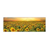 Sunflower Field Framed Wall Art (50x150cm) - Fansee Australia