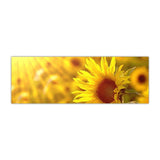 Sunflower Field Landscape Canvas Prints (50x150cm) - Fansee Australia