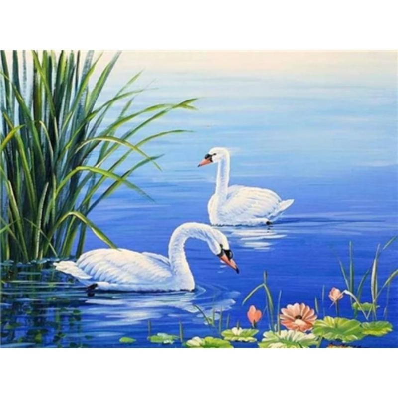 Swan In The Water Painting With Diamonds Kit - Fansee Australia