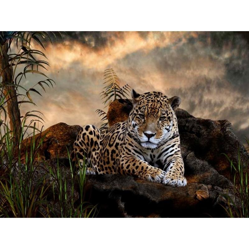Tiger In The Forest Painting With Diamonds Kit (30x40cm) - Fansee Australia